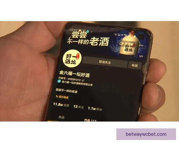 世界杯竞猜稳定平台推荐，专业分析助你精准投注赢大奖