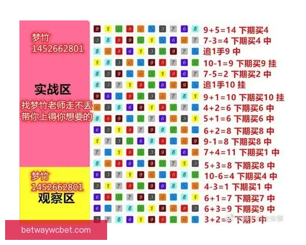 体育竞猜投注攻略揭秘 提升胜率的技巧与策略分析
